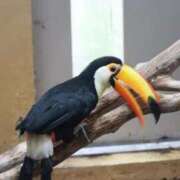 ヒメ日記 2025/10/26 23:22 投稿 あさひ SOAPLAND LOVE FACTORY