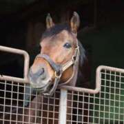 ヒメ日記 2025/10/27 12:22 投稿 あさひ SOAPLAND LOVE FACTORY