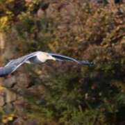 ヒメ日記 2025/10/27 17:28 投稿 あさひ SOAPLAND LOVE FACTORY