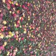 ヒメ日記 2025/10/27 19:22 投稿 あさひ SOAPLAND LOVE FACTORY