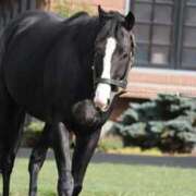 ヒメ日記 2025/10/28 00:42 投稿 あさひ SOAPLAND LOVE FACTORY