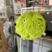 ヒメ日記 2025/10/28 08:22 投稿 あさひ SOAPLAND LOVE FACTORY