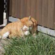 ヒメ日記 2025/10/28 12:03 投稿 あさひ SOAPLAND LOVE FACTORY