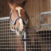 ヒメ日記 2025/10/29 02:25 投稿 あさひ SOAPLAND LOVE FACTORY