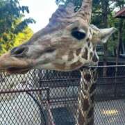 ヒメ日記 2025/10/29 10:22 投稿 あさひ SOAPLAND LOVE FACTORY