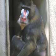 ヒメ日記 2025/10/29 18:22 投稿 あさひ SOAPLAND LOVE FACTORY