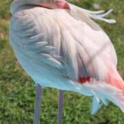 ヒメ日記 2025/10/29 19:32 投稿 あさひ SOAPLAND LOVE FACTORY