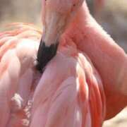 ヒメ日記 2025/10/30 05:47 投稿 あさひ SOAPLAND LOVE FACTORY