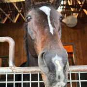 ヒメ日記 2025/11/02 04:25 投稿 あさひ SOAPLAND LOVE FACTORY