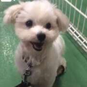 ヒメ日記 2025/11/04 03:15 投稿 あさひ SOAPLAND LOVE FACTORY