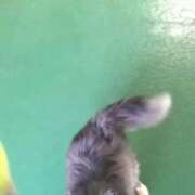 ヒメ日記 2025/11/04 03:37 投稿 あさひ SOAPLAND LOVE FACTORY