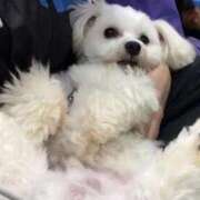 ヒメ日記 2025/11/04 08:32 投稿 あさひ SOAPLAND LOVE FACTORY