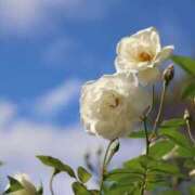 ヒメ日記 2025/11/05 20:32 投稿 あさひ SOAPLAND LOVE FACTORY