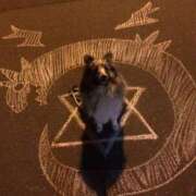 ヒメ日記 2025/11/06 01:16 投稿 あさひ SOAPLAND LOVE FACTORY