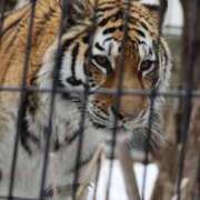 ヒメ日記 2025/11/06 05:32 投稿 あさひ SOAPLAND LOVE FACTORY