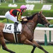 ヒメ日記 2025/11/06 12:52 投稿 あさひ SOAPLAND LOVE FACTORY