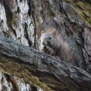 ヒメ日記 2025/11/07 22:42 投稿 あさひ SOAPLAND LOVE FACTORY