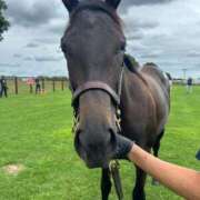 ヒメ日記 2025/11/10 06:37 投稿 あさひ SOAPLAND LOVE FACTORY