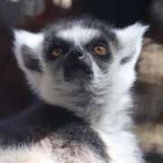 ヒメ日記 2025/11/10 16:32 投稿 あさひ SOAPLAND LOVE FACTORY