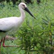 ヒメ日記 2025/11/12 01:12 投稿 あさひ SOAPLAND LOVE FACTORY