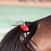 ヒメ日記 2025/11/12 05:02 投稿 あさひ SOAPLAND LOVE FACTORY