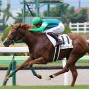 ヒメ日記 2025/11/12 23:12 投稿 あさひ SOAPLAND LOVE FACTORY