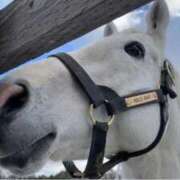 ヒメ日記 2025/11/14 04:42 投稿 あさひ SOAPLAND LOVE FACTORY