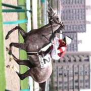 ヒメ日記 2025/11/16 02:52 投稿 あさひ SOAPLAND LOVE FACTORY