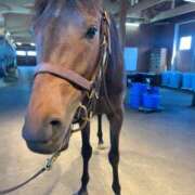 ヒメ日記 2025/11/18 05:37 投稿 あさひ SOAPLAND LOVE FACTORY