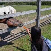 ヒメ日記 2025/11/18 13:15 投稿 あさひ SOAPLAND LOVE FACTORY