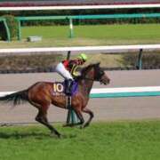 ヒメ日記 2025/11/18 22:00 投稿 あさひ SOAPLAND LOVE FACTORY