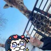 ヒメ日記 2025/11/19 01:22 投稿 あさひ SOAPLAND LOVE FACTORY