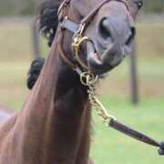 ヒメ日記 2025/11/19 18:52 投稿 あさひ SOAPLAND LOVE FACTORY