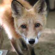 ヒメ日記 2025/11/19 22:32 投稿 あさひ SOAPLAND LOVE FACTORY