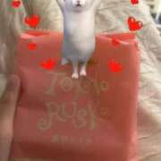 ヒメ日記 2025/11/22 03:42 投稿 あさひ SOAPLAND LOVE FACTORY