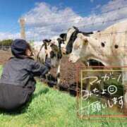 ヒメ日記 2025/11/24 06:02 投稿 あさひ SOAPLAND LOVE FACTORY