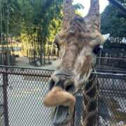 ヒメ日記 2025/11/25 08:32 投稿 あさひ SOAPLAND LOVE FACTORY