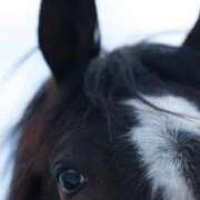 ヒメ日記 2025/11/27 04:21 投稿 あさひ SOAPLAND LOVE FACTORY