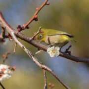 ヒメ日記 2025/11/29 02:32 投稿 あさひ SOAPLAND LOVE FACTORY