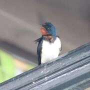 ヒメ日記 2025/11/29 02:52 投稿 あさひ SOAPLAND LOVE FACTORY