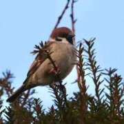 ヒメ日記 2025/11/29 03:01 投稿 あさひ SOAPLAND LOVE FACTORY