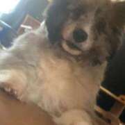 ヒメ日記 2025/11/30 09:45 投稿 あさひ SOAPLAND LOVE FACTORY