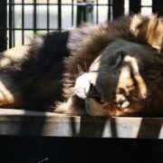 ヒメ日記 2025/12/01 12:22 投稿 あさひ SOAPLAND LOVE FACTORY