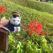 ヒメ日記 2025/12/01 17:22 投稿 あさひ SOAPLAND LOVE FACTORY