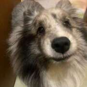 ヒメ日記 2025/12/02 08:38 投稿 あさひ SOAPLAND LOVE FACTORY