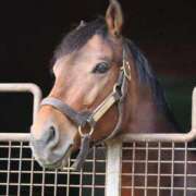 ヒメ日記 2025/12/03 08:12 投稿 あさひ SOAPLAND LOVE FACTORY