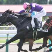 ヒメ日記 2025/12/06 09:01 投稿 あさひ SOAPLAND LOVE FACTORY