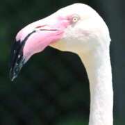 ヒメ日記 2025/12/11 03:12 投稿 あさひ SOAPLAND LOVE FACTORY