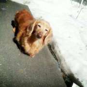 ヒメ日記 2025/12/12 10:42 投稿 あさひ SOAPLAND LOVE FACTORY