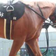 ヒメ日記 2025/12/14 23:49 投稿 あさひ SOAPLAND LOVE FACTORY